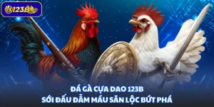 Đá Gà Cựa Dao 123B - Sới Đấu Đẫm Máu Săn Lộc Bứt Phá
