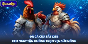 Đá Gà Cựa Sắt 123B - Xem Ngay Tận Hưởng Trọn Vẹn Sức Nóng