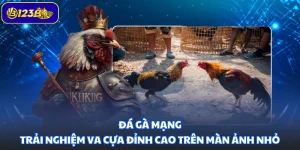 Đá Gà Mạng - Trải Nghiệm Va Cựa Đỉnh Cao Trên Màn Ảnh Nhỏ