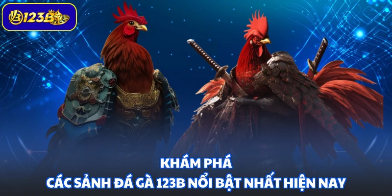 Khám phá các sảnh đá gà 123B nổi bật nhất hiện nay