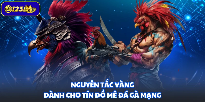 Nguyên tắc vàng dành cho tín đồ mê đá gà mạng