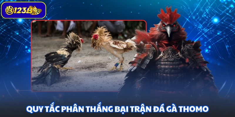Quy tắc phân thắng bại trận đá gà Thomo