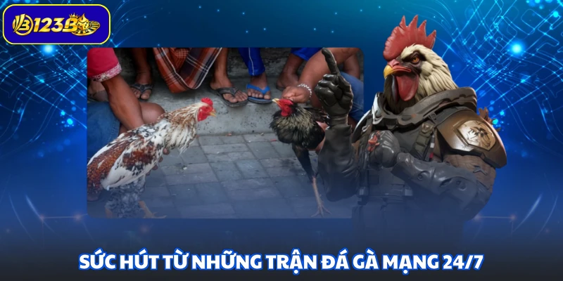 Sức hút từ những trận đá gà mạng 24/7