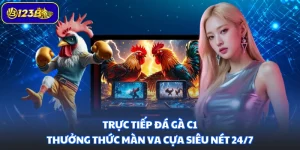 Trực Tiếp Đá Gà C1 - Thưởng Thức Màn Va Cựa Siêu Nét 24/7