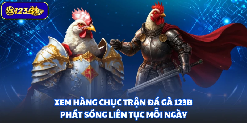 Xem hàng chục trận đá gà 123B phát sóng liên tục mỗi ngày